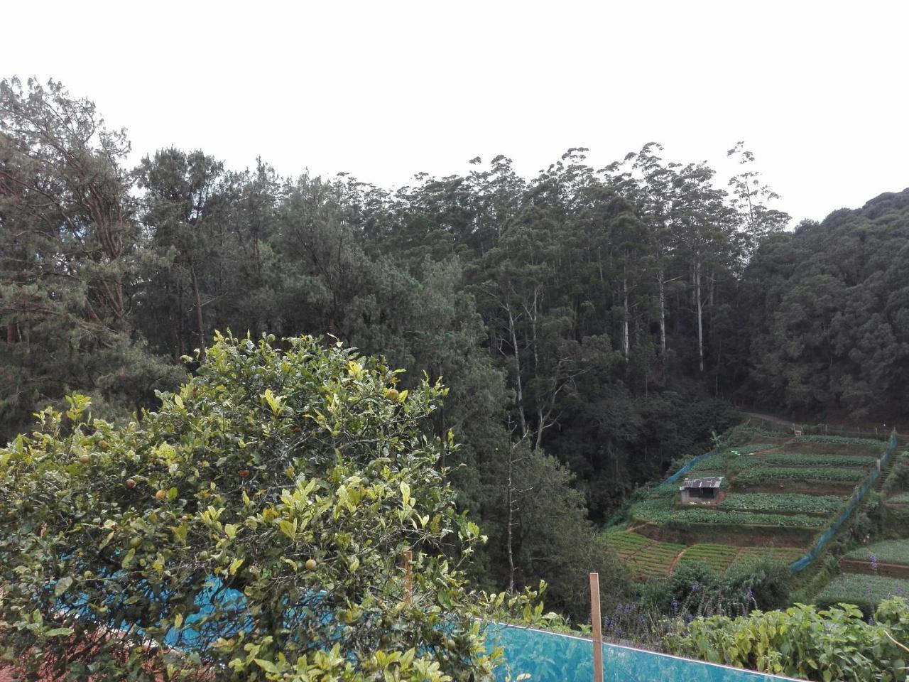Keshiya Holiday Home Nuwara Eliya Dış mekan fotoğraf