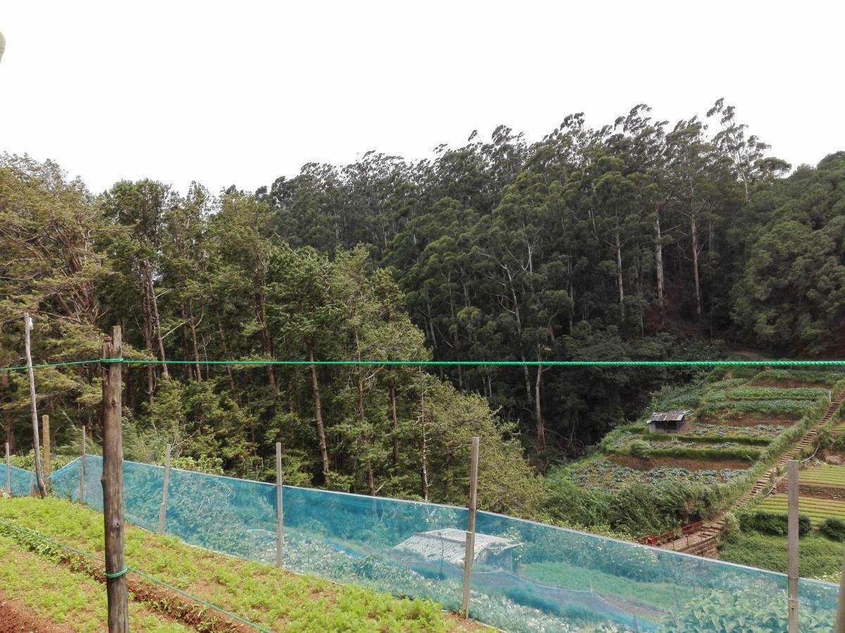 Keshiya Holiday Home Nuwara Eliya Dış mekan fotoğraf